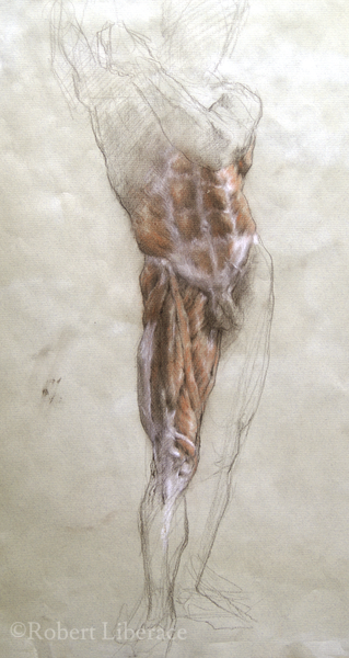 Robert Liberace, anatomy front full figure drawing