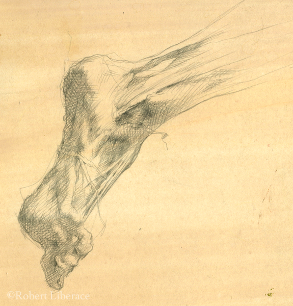 Robert Liberace, ecorche foot, silverpoint
